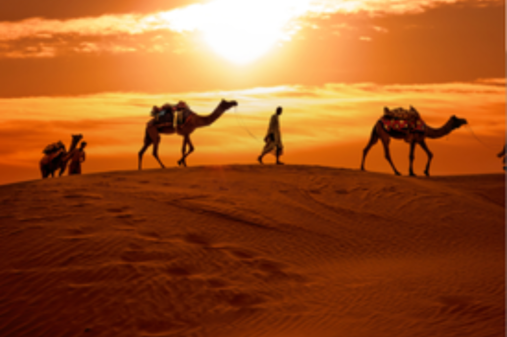 Sunset at sam sand dunes