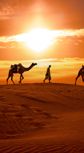 Sunset at sam sand dunes